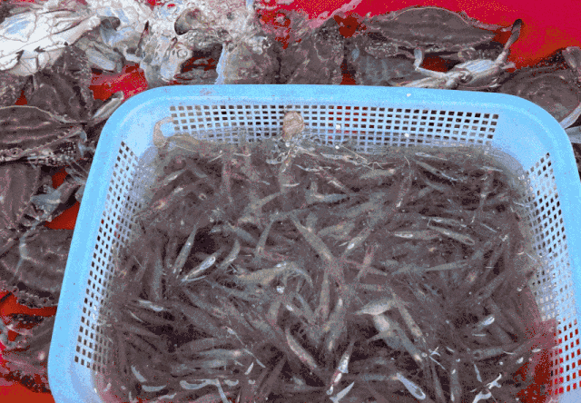 我吃故我在:聊聊苏州、上海、杭州三地菜场